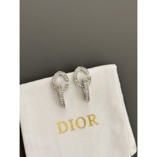 Christian Dior Earrings